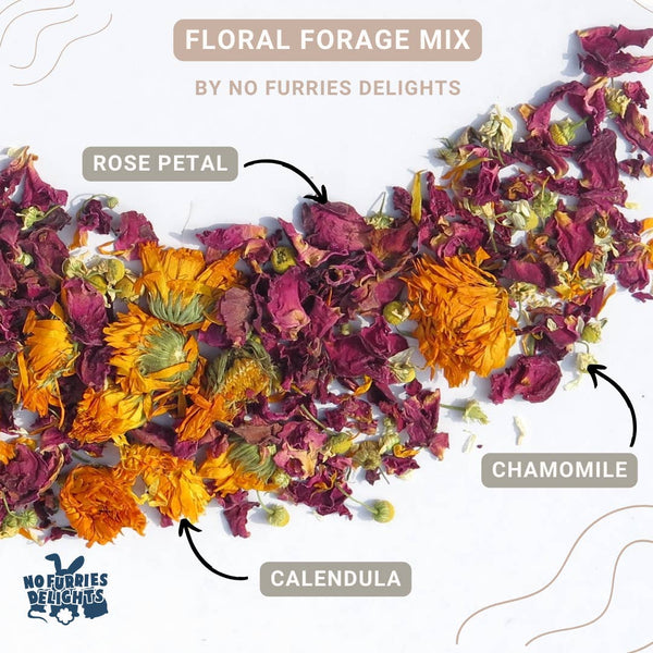 No Furries Delights Floral Forage Mix 25g
