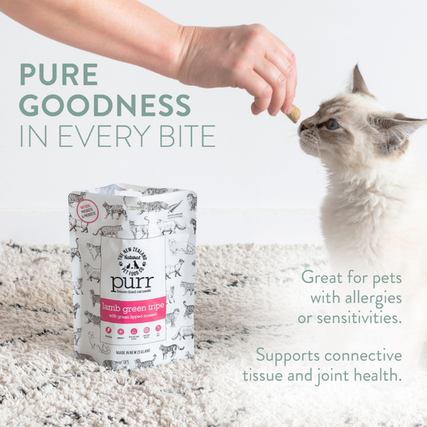 NZ Natural Pet Food Co - Freeze Dried - Treats - Purr - Beef Green Tripe 40g
