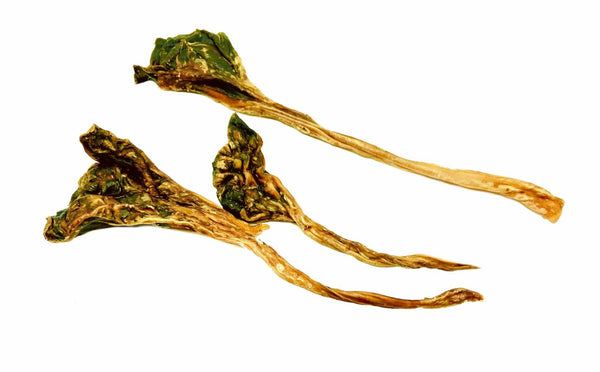 Kangaroo
Kangaroo Tendons 150g