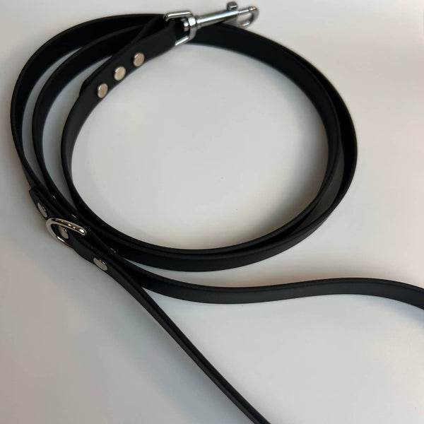 Let's Go Leash Co. Classic Biothane Leash 5'