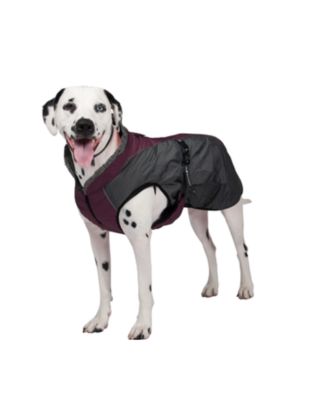 Shedrow Chinook Dog Coat