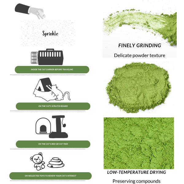 Cat Want Extra Fancy Catnip Powder 40g