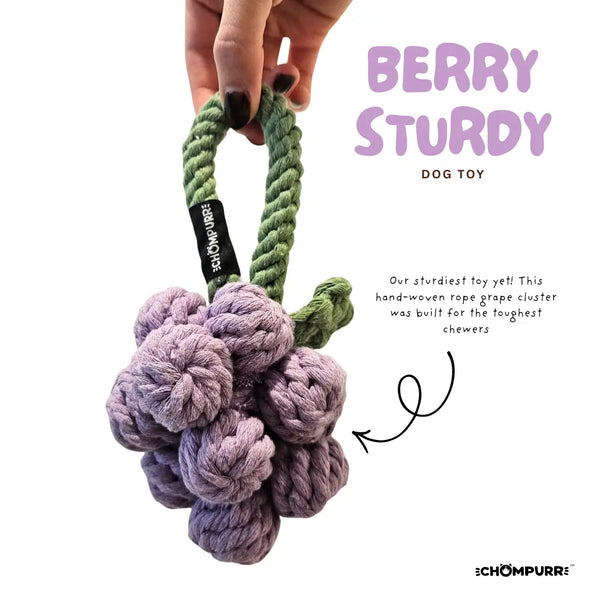 Chompurr Berry Sturdy