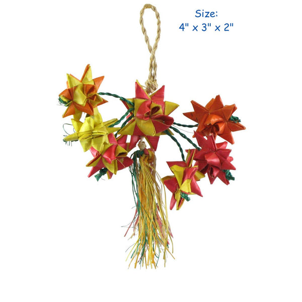 Planet Pleasures Mini Star Cluster