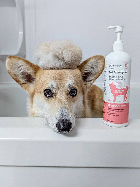 Purodora Lab Deshedding Shampoo 500ml