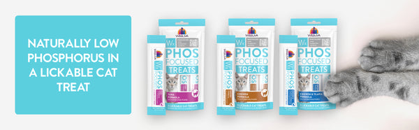 Weruva WX Phos Focused Lickable Treats