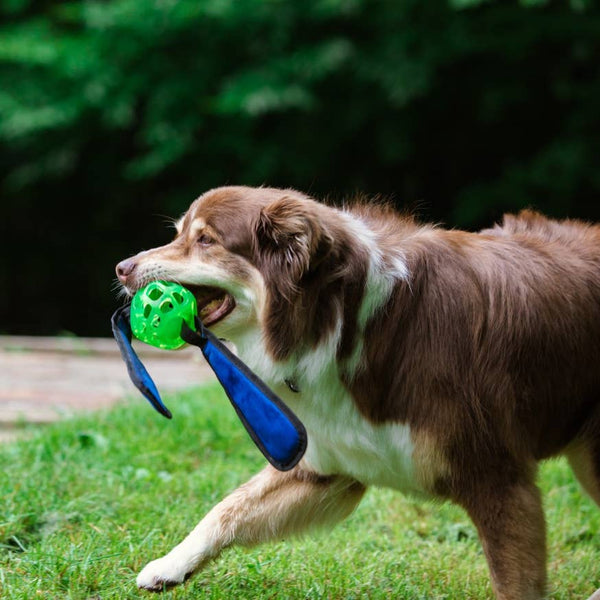 Hero Action Bunny Ball with Squeaking Ears