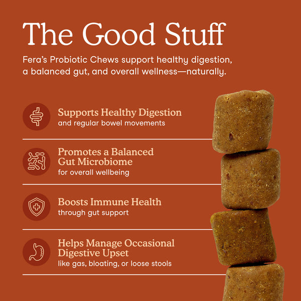 Fera Pets Probiotic Chews 90 Soft Chews