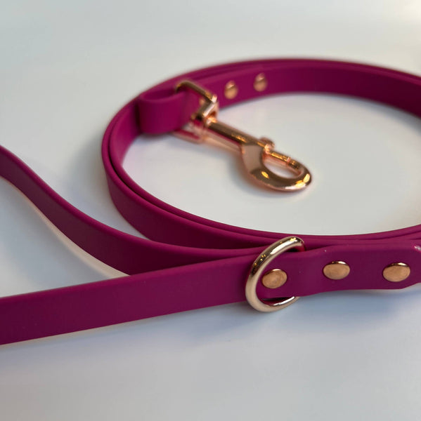Let's Go Leash Co. Classic Biothane Leash 5'