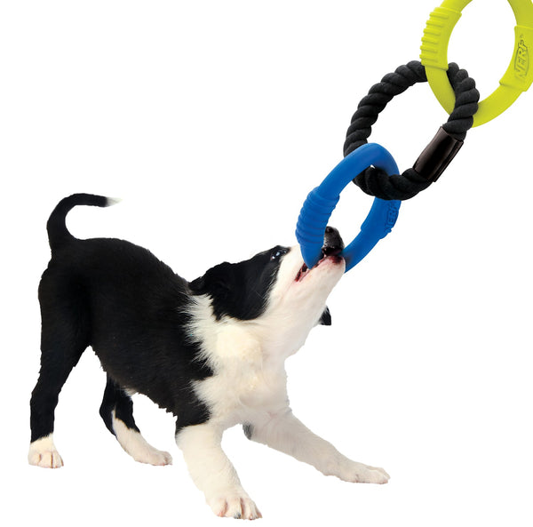 Nerf Dog Three Ring Tug, 9in