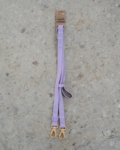 Dexy Paws Waterproof Hands Free Leash 6ft