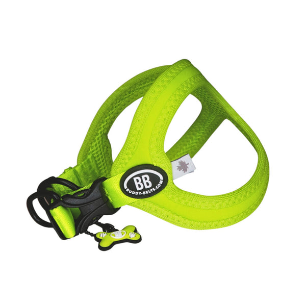 Buddy Belt Vibrant Sport Harness