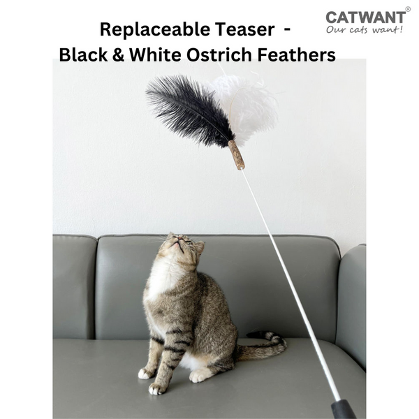 Cat Want Replaceable Teaser Black and White Osterich Feathers