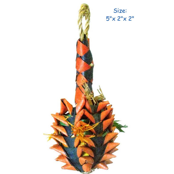 Planet Pleasures Pinapple Foraging Toy