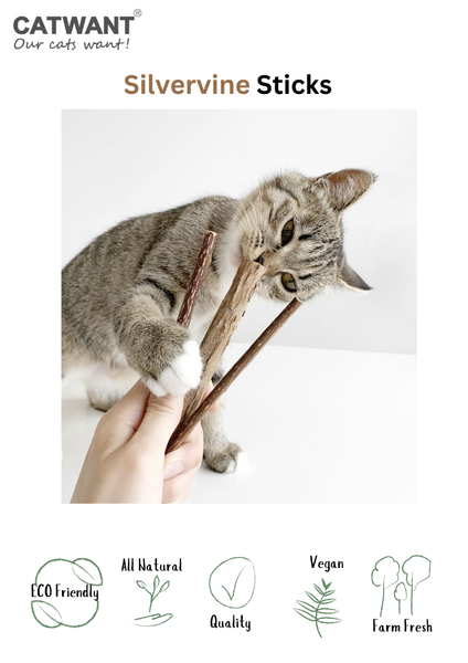 Cat Want Silvervine Sticks 50g Mixed Sizes