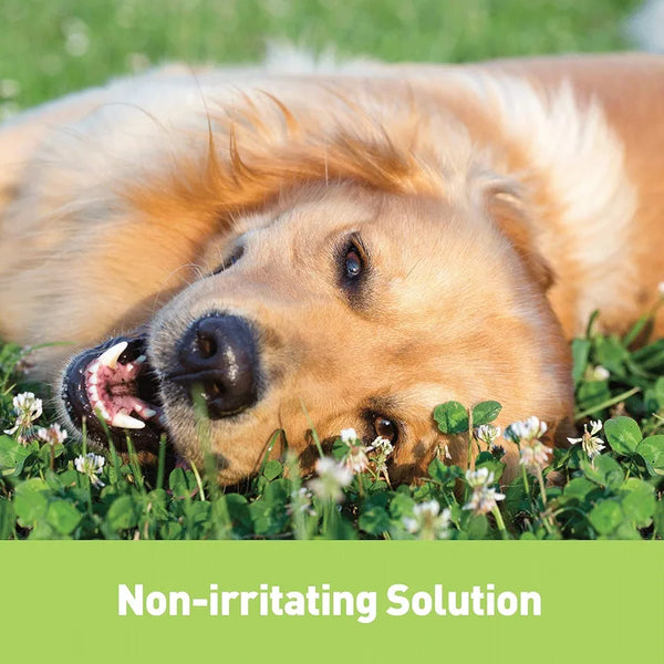 Surosolve Ear Cleaner 125ml