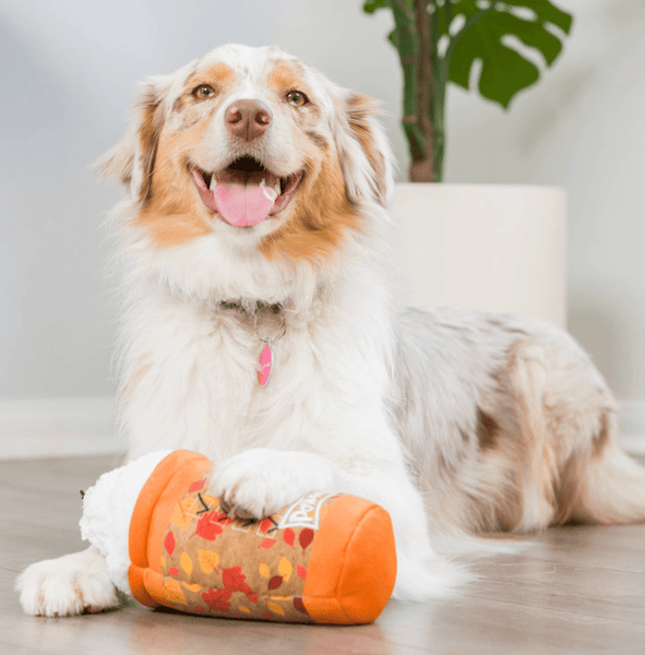 Huxley and Kent Puggin Spice Latte Power Plush Squeaky Dog - Large