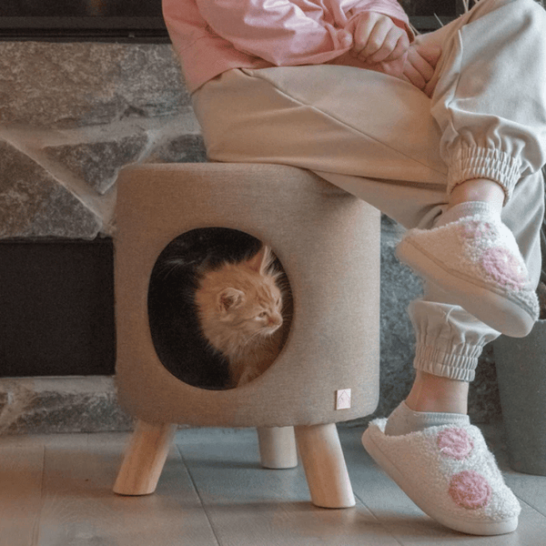 4 Cats & Dogs Footstool