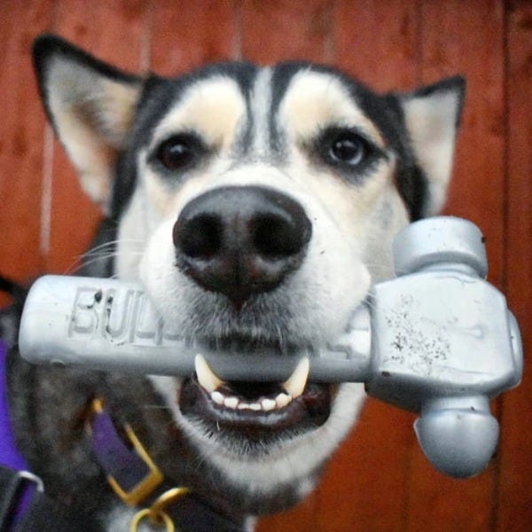 Bully Make Hammer