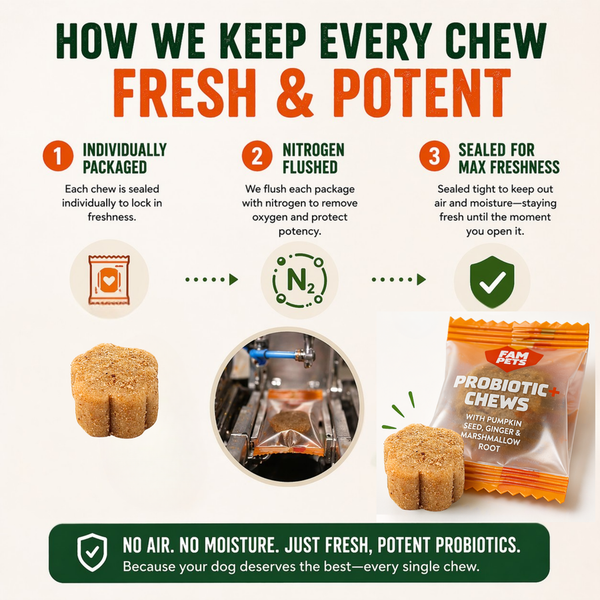 Fampets Probiotic Chews