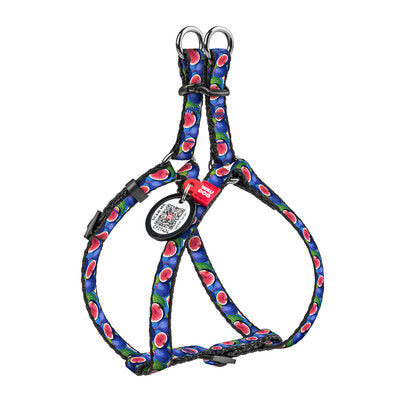 WAUDOG Nylon cat and small dog harness with QR 
passport
