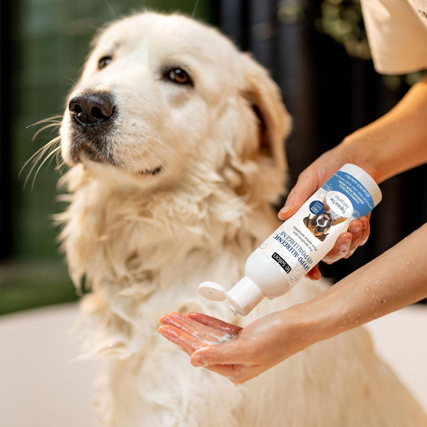 Le Salon Hypoallergenic Dog Shampoo