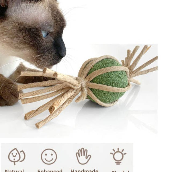 Woven Silvervine Gall Fruit Candy with Catnip Ball