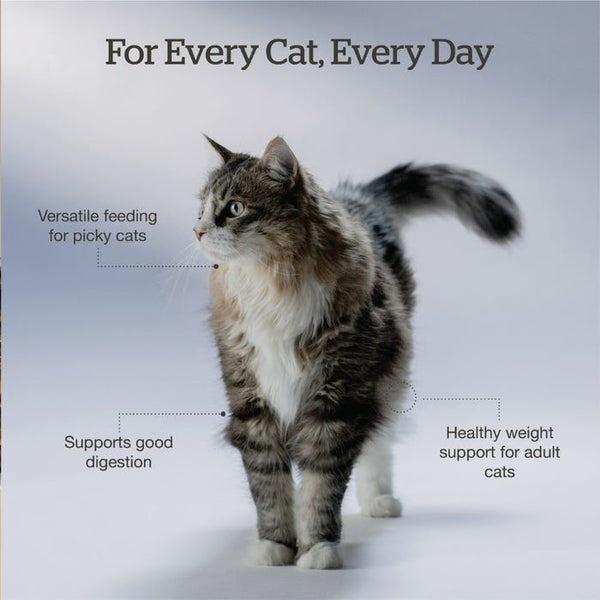 Now! Good Gravy for Cats 3lb