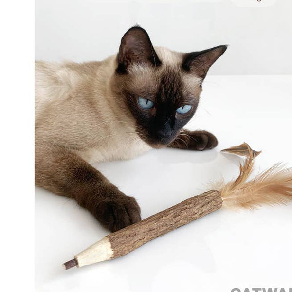 Catwant Silvervine Feather Pen
