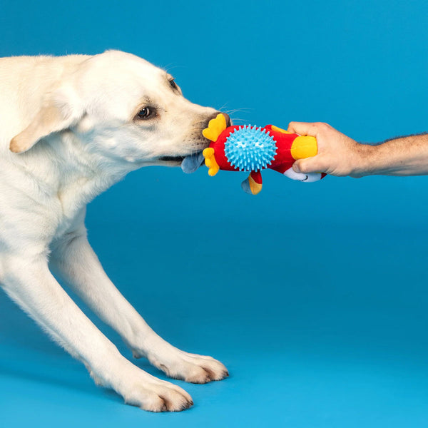 Fringe Studio Perfectly Perched Dog Toy