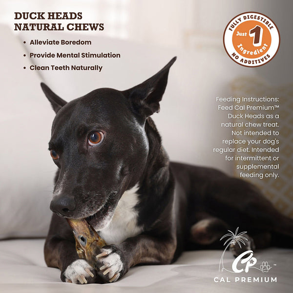 Cal Premium Duck Head