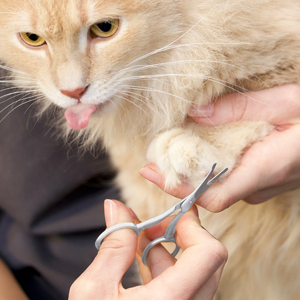 Tweezerman Pet Safety Trimming Scissors