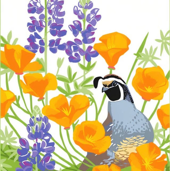 California Quail, Poppy, Lupine Magnet