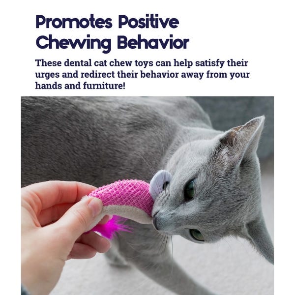 Petstages Dental Shrimpies