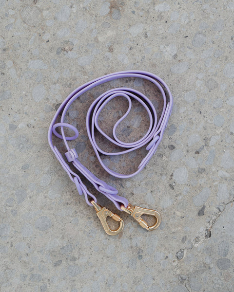 Dexy Paws Waterproof Hands Free Leash 6ft