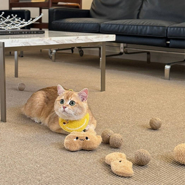 Cheerhunting Peanut Shell Cat Toy