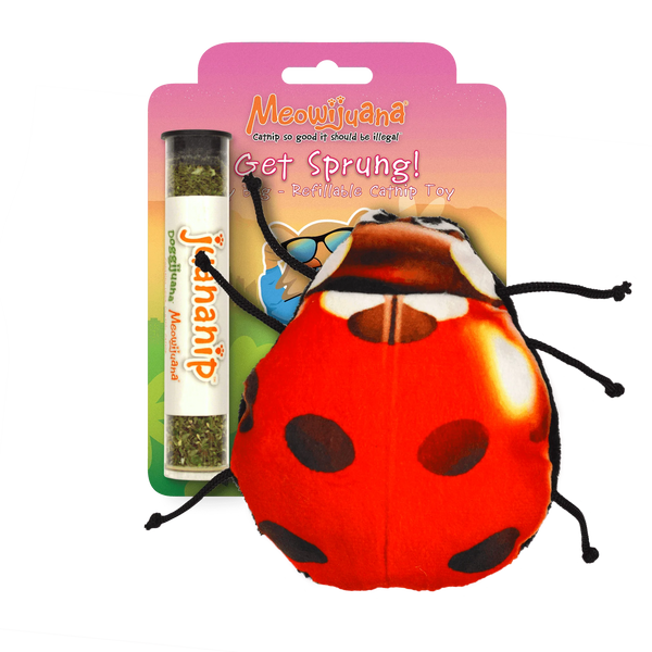 Meowijiwana Get Sprung Ladybug