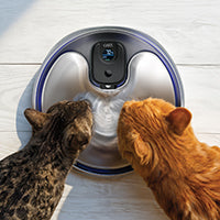 Catit PIXI Cordless Stainless Steel UV-C Drinking Fountain - 5L (1.3 gal)