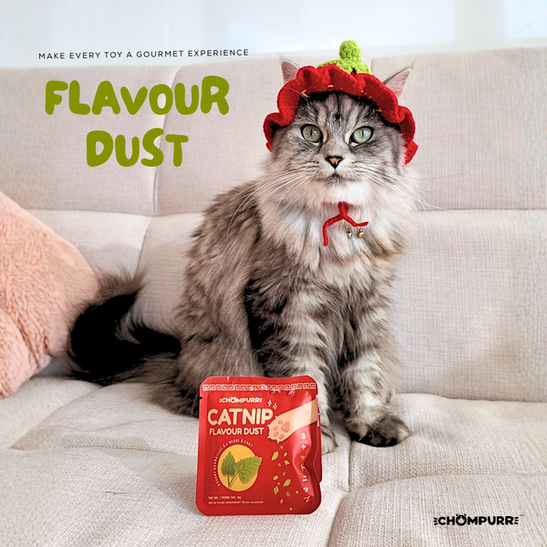 Chompurr Catnip Flavor Dust