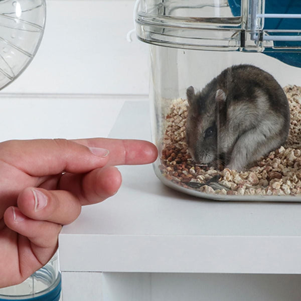 Rody3 Hamster Cage Blue
