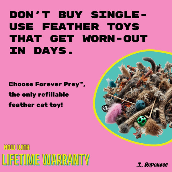 Forever Prey™ - World's First Refillable Feather Toy