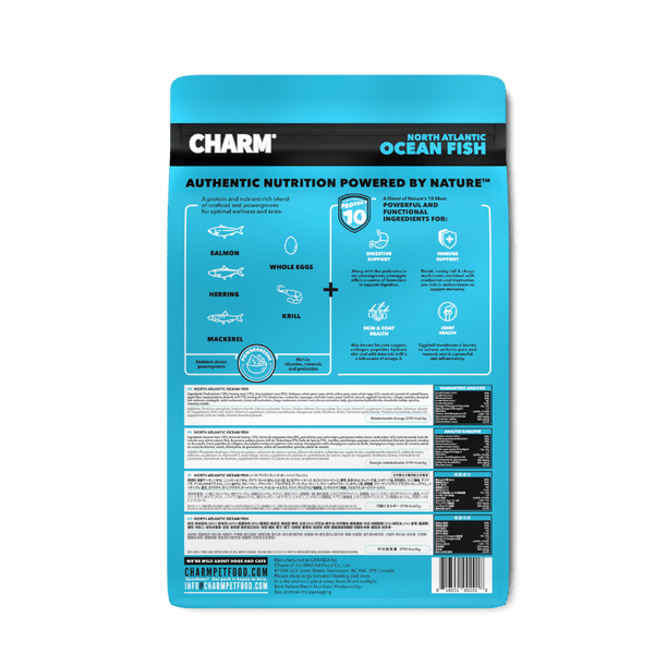 Charm Canine Atlantic Ocean Fish