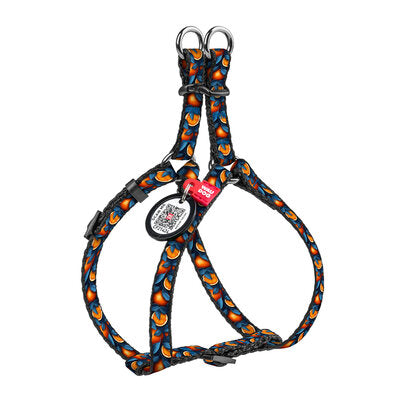 WAUDOG Nylon cat and small dog harness with QR 
passport