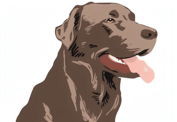 Labrador Retriver, Chocolate Greeting Card
