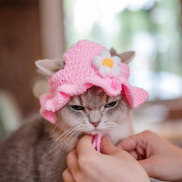 Cheerhunting Knit Pink Hat