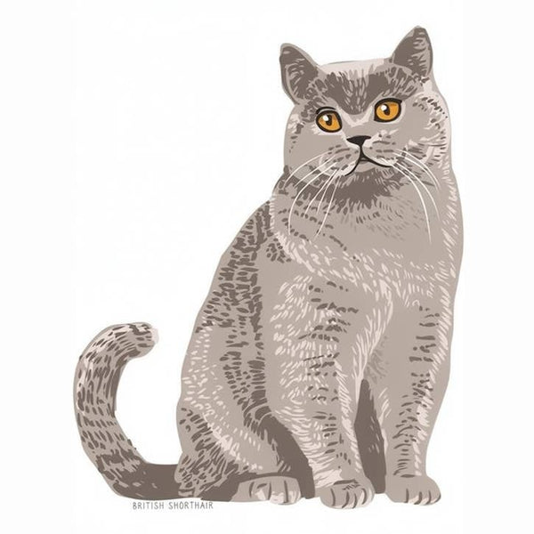 British Shorthair Cat Magnet