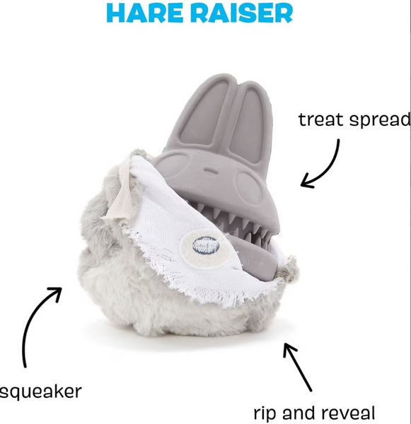 Bark Hare Raiser Treat Dispenser