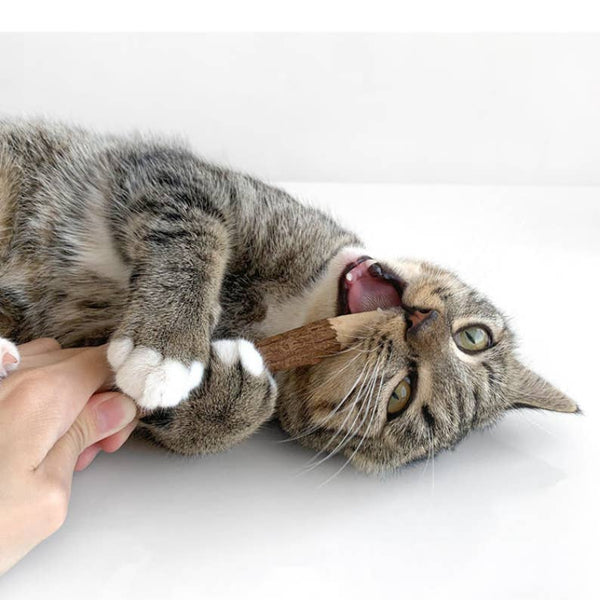 Catwant Silvervine Feather Pen