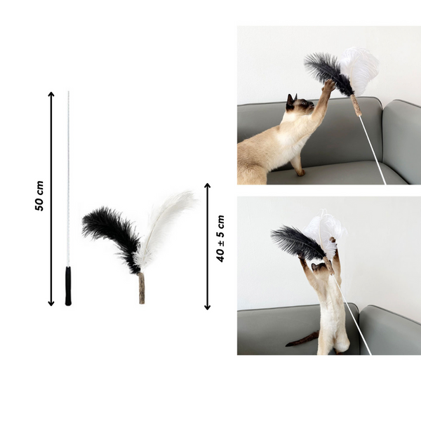 Cat Want Replaceable Teaser Black and White Osterich Feathers