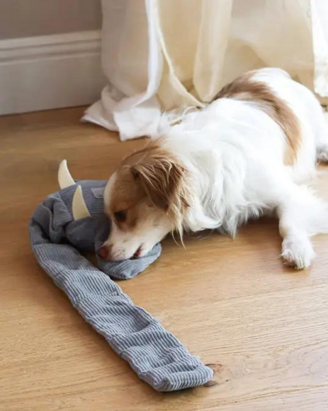 Injoya Trunk or Treat Snuffle Toy